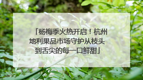 杨梅季火热开启！杭州地利果品市场守护从枝头到舌尖的每一口鲜甜